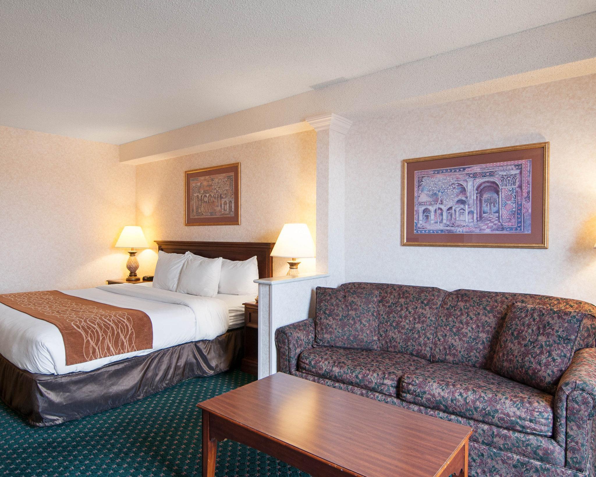 Comfort Inn & Suites Near Danville Mall Экстерьер фото